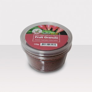 생생천년초 열매 과립 110g