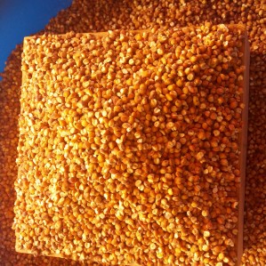 강화도 교동잡곡 수수1kg,