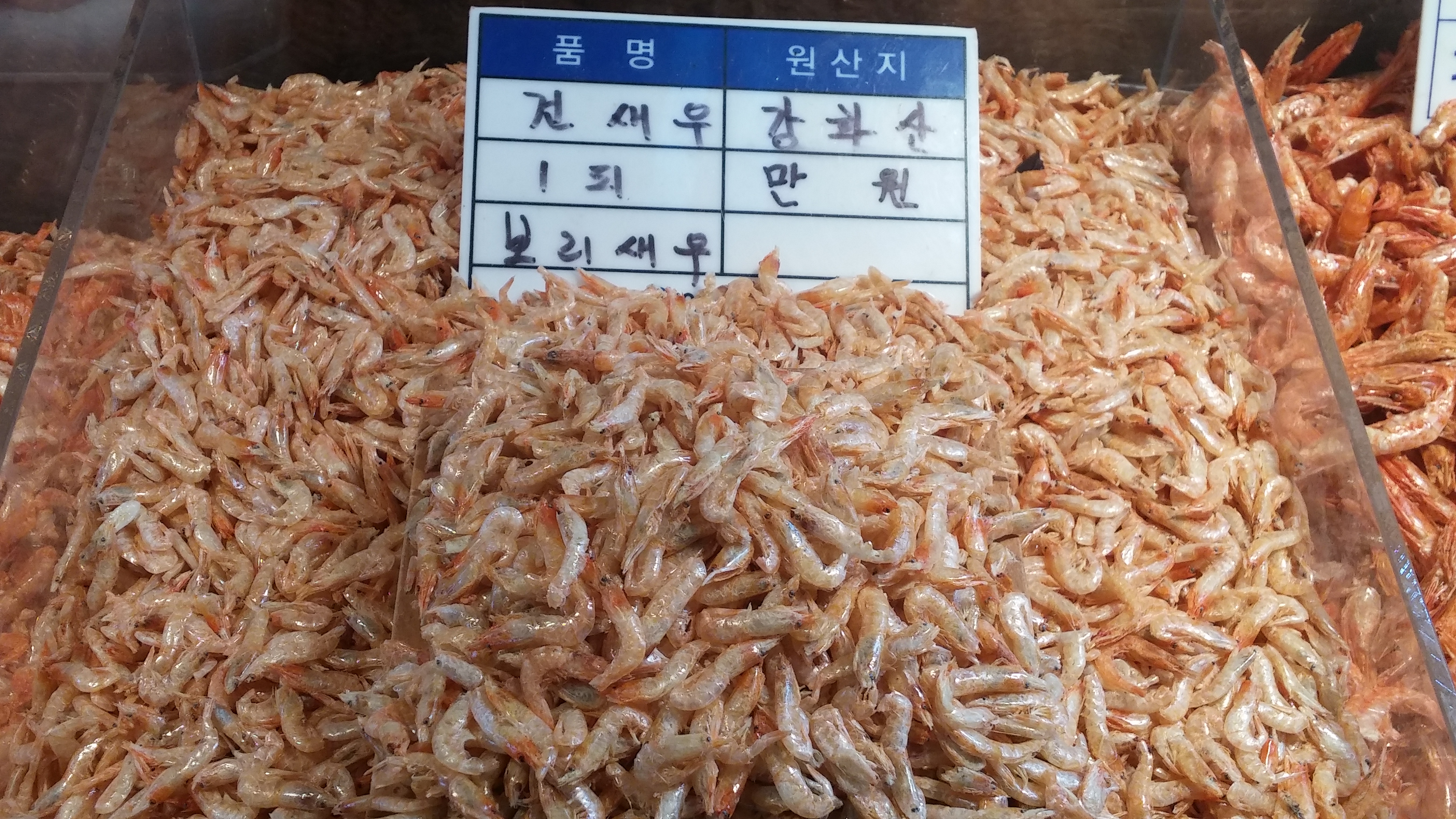 강화 외포리 보리새우 600g