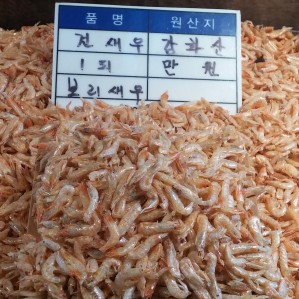 강화 외포리 보리새우 600g
